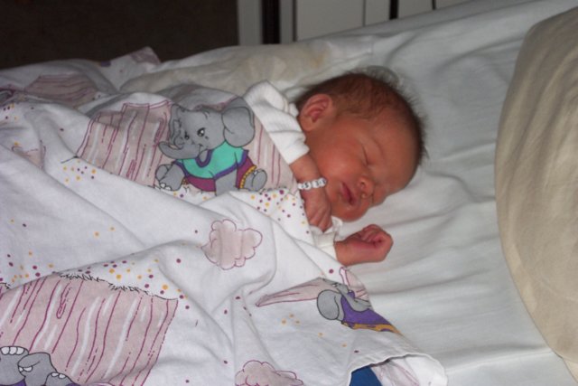 picture011.jpg