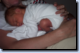 thumb011.png
